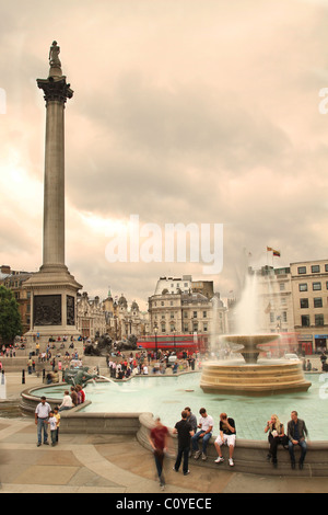 Nelson Säule am Trafalgar Square in London Stockfoto