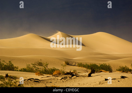 Sand und Sand Wellen in den Dünen der Mesquite Flats Sanddünen, Stovepipe Wells, Death Valley National Park, Kalifornien, USA Stockfoto