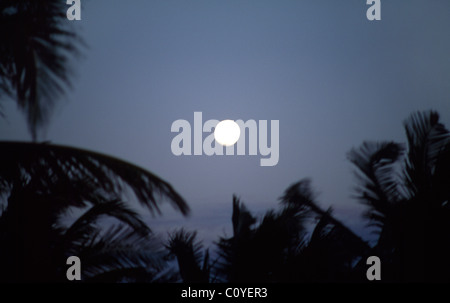Moon Frigate Bay Resort St. Kitts Stockfoto