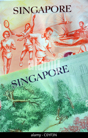 Singapur-Banknoten Stockfoto