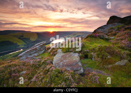 Whinstone Lee Stockfoto