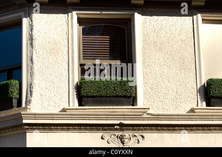 Stuck-Wand mit alten Fenster und Formschnitt im Blumenkasten Stockfoto