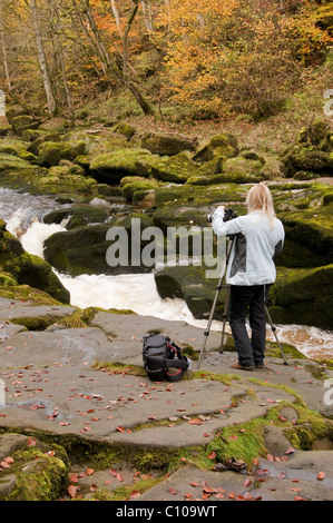 Eine Frau, ein Foto zu machen, wo die Strid, in der Nähe von Bolton Abbey River Wharfe durchläuft. Stockfoto