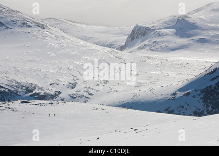 Skibergsteiger auf dem Hochplateau Cairngorm in vollen Winter Bedingungen, Schottland, Großbritannien. Stockfoto