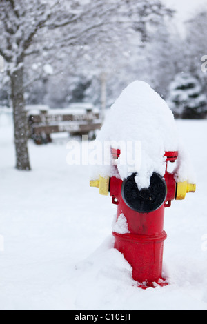 Ein Hydranten mit Schnee bedeckt direkt View Royal Park im Blick Royal, BC, Kanada. Stockfoto