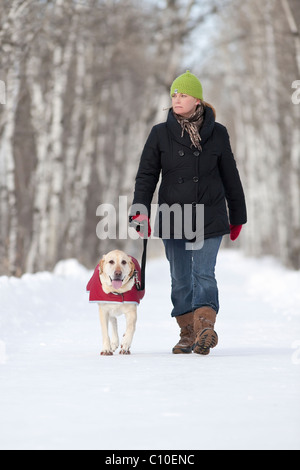 Frau, Spaziergang mit ihrem Hund auf einem schneebedeckten Weg.  Assiniboine Wald, Winnipeg, Manitoba, Kanada. Stockfoto