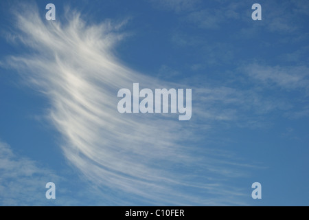 Ungewöhnliche Wolkenformation - sieht komisch Cirrus Cloud wie Pinselstrich auf einem blauen Himmel Stockfoto