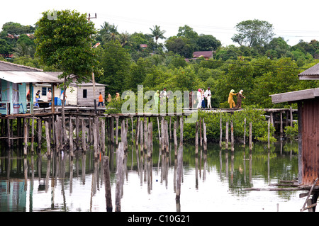 Häuser unter Mangroven Belakang Padang Riau Inseln Indonesien Stockfoto