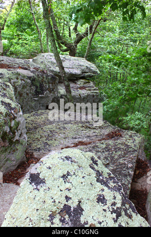 Cheaha State Park - Alabama Stockfoto