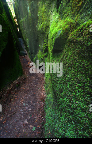 Moosigen Canyon in Alabama Stockfoto