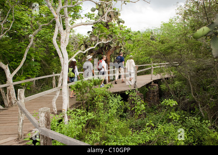 Touristen auf dem Weg nach Charles Darwin Research Station - Santa Cruz Insel - Galapagos-Inseln, Ecuador Stockfoto