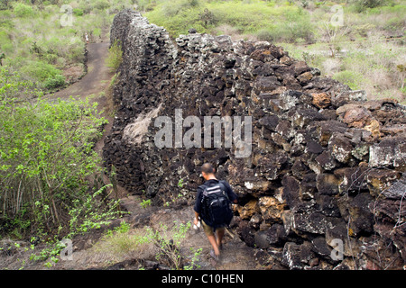 Mauer der Tränen (Muro de Las Lagrimas) - Insel Isabela - Galapagos-Inseln, Ecuador Stockfoto