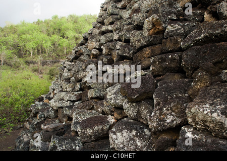 Mauer der Tränen (Muro de Las Lagrimas) - Insel Isabela - Galapagos-Inseln, Ecuador Stockfoto