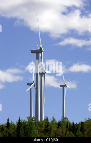 Wind-Turbinen, Mars Hill Aroostook County, Maine, New England, USA Stockfoto