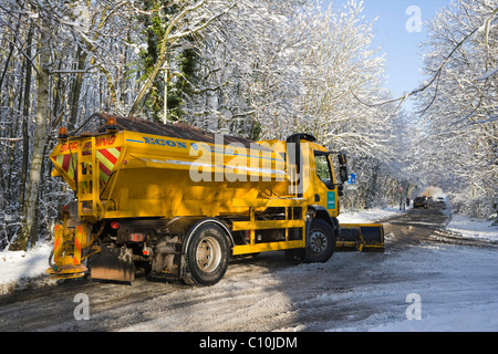 Salzstreuer, Burghfield Common, Reading, Berkshire, England, Vereinigtes Königreich, Europa Stockfoto