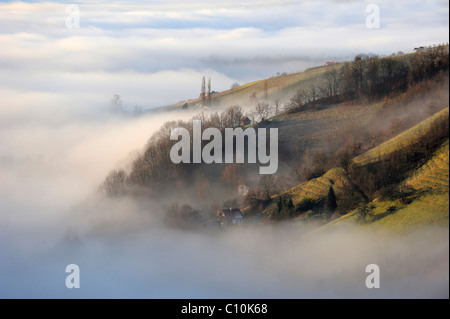 Steigender Nebel in den Bergen, Kitzeck Im Sausal, Steiermark, Austria, Europe Stockfoto