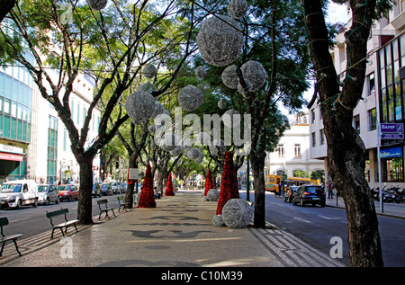 Weihnachtsdekoration, Zentrum von Funchal, Madeira, Portugal, Europa Stockfoto