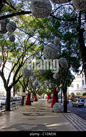 Weihnachtsdekoration, Zentrum von Funchal, Madeira, Portugal, Europa Stockfoto