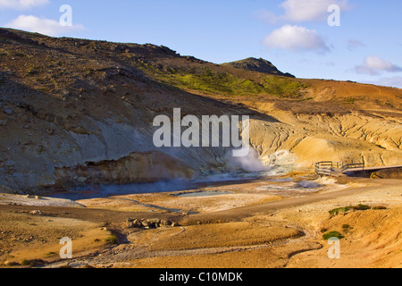 Dampfende, Schwefel bedeckt Schlammlöcher, Höhlen und Felsspalten, Krýsuvík Seltun geothermische Gebiet im südlichen Island, Island, Europa Stockfoto