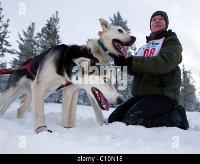 Schlittenhunde aufgeregt an der Startlinie, Blei Hunde, Führer, Alaskan Huskies, streckte vom Handler, Carbon Hill Schlittenhunderennen Stockfoto