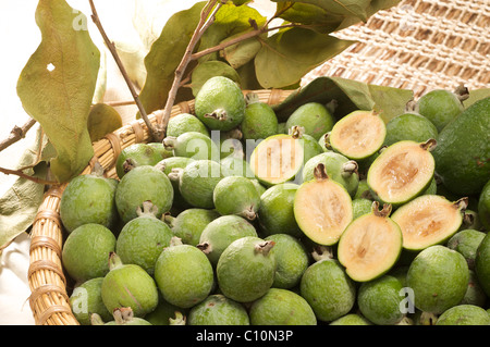 Guave oder Guavasteen oder Feijoa Ananas Früchte (Feijoa Sellowiana) Stockfoto