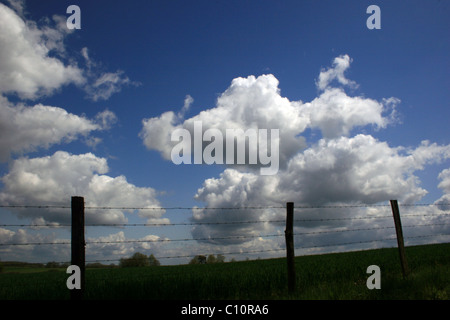 Maine-et-Loire Brézé, Frankreich Stockfoto