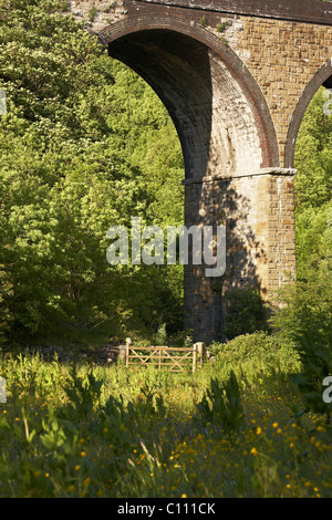 Unter Monsal Dale Viadukt Stockfoto