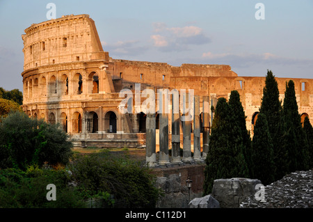 Kolosseum, Säulen der Tempel der Venus und Roma, Roman Forum, Rom, Latium, Italien, Europa Stockfoto