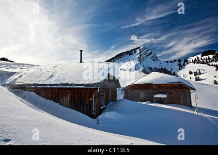 Alm unter Mt. Stockberg in den Schweizer Alpen, Appenzell, Schweiz, Osteuropa Stockfoto