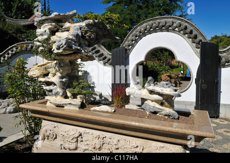 Bonsai Sammlung chinesischer Garten Jardin Botanique de, Botanischer Garten von Montreal, Quebec, Kanada, Nordamerika Stockfoto