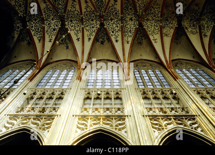 Sint-Janskathedraal, St. Johns Kathedrale, gotische Rippe gewölbte Decke,'s-Hertogenbosch oder Den Bosch, Noord-Brabant, Niederlande Stockfoto