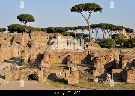 Bleibt der Domus Augustana, Palatin, Rom, Lazio, Italien, Europa Stockfoto