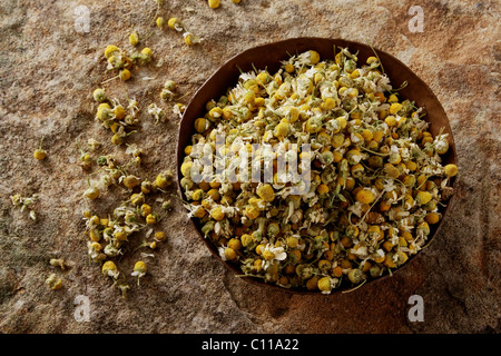 Deutsch Kamille (Matricaria Chamomilla), Blüten, in einer kupfernen Schüssel auf eine Steinoberfläche Stockfoto