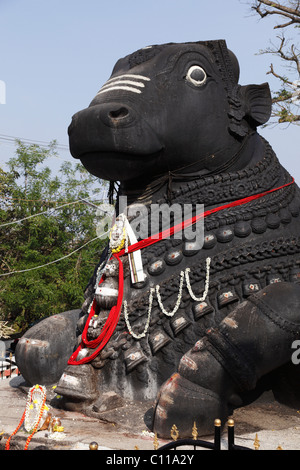 Stein-Nandi-Statue, Chamundi Hill, Mysore, Karnataka, Südindien, Indien, Südasien, Asien Stockfoto