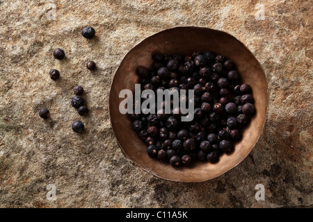 Wacholderbeeren (Juniperus) in einer kupfernen Schüssel auf eine Steinoberfläche Stockfoto