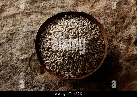 Roggen Körner (Secale Cereale) in einer kupfernen Schüssel auf eine Steinoberfläche Stockfoto
