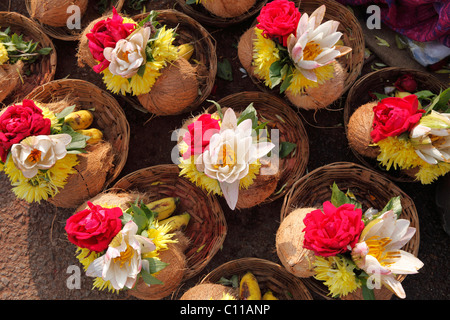 Sträuße mit Kokosnüssen als Opfergaben, Chamundi Hill, Mysore, Karnataka, Südindien, Indien, Südasien, Asien Stockfoto