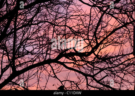 am frühen Morgen rote Himmel über Mablethorpe Lincolnshire UK Stockfoto