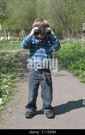 drei Jahre alter Junge Blick durch ein Fernglas im Wildpark Stockfoto