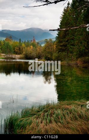 Lago di Dobiacco Stockfoto