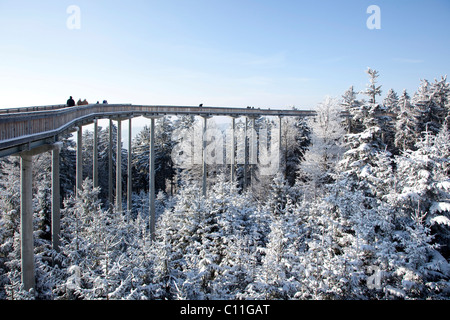 Waldwipfelweg-Erlebnispfad in der tief verschneiten Winterlandschaft im Bayerischen Wald in der Nähe von St. Englmar, Bayern Stockfoto