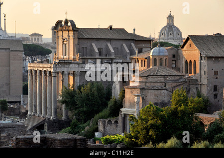 Tempel des Antoninus und der Faustina oder der Kirche von San Lorenzo in Miranda, Tempel des Romulus oder Santi Cosma e Damiano, Forum Romanum Stockfoto