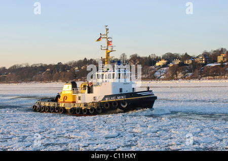 Ein Schlepper auf der winterlichen Elbe im Hamburger Hafen, Landungsbrücken Landungsbrücken, Hamburg, Deutschland, Europa Stockfoto