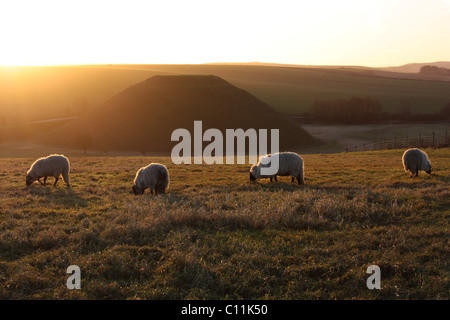 Silbury Hill, Wiltshire - Europas größte Mann gemacht hill Stockfoto