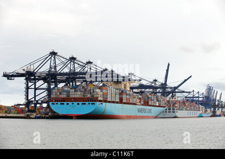 Containerschiffe, UK. Stockfoto