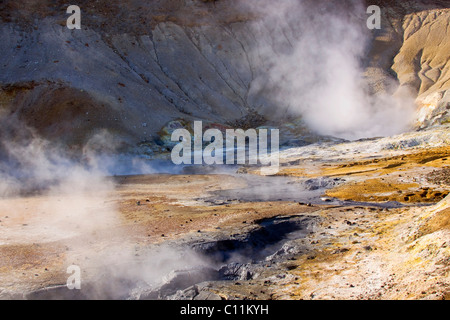 Dampfende, Schwefel bedeckt Schlammlöcher, Höhlen und Felsspalten, Krýsuvík Seltun geothermische Gebiet im südlichen Island, Island, Europa Stockfoto