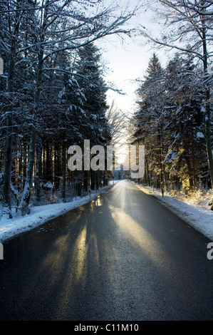 Winterliche Straße führt durch einen sonnigen Mischwald, Bayern, Deutschland, Europa Stockfoto