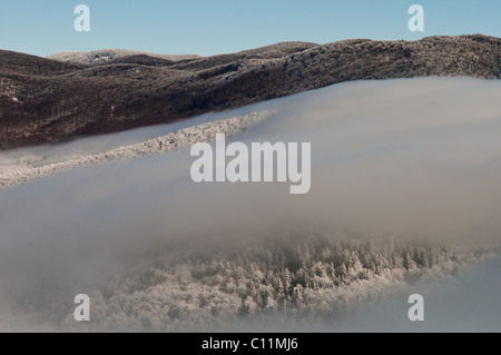 Nebel über Velebit (ein Berg in Kroatien, Europa). Ein Foto wurde während der Winterzeit. Stockfoto