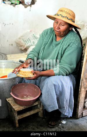 Herstellung von Frischkäse in der Penas Tal, Departamento Oruro, Bolivien, Südamerika Stockfoto