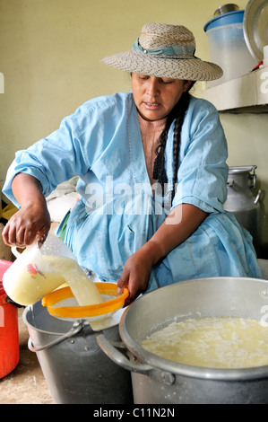 Frau bei der Herstellung von Frischkäse im Tal Penas blättert von der Molke, Departement Oruro, Bolivien, Südamerika Stockfoto